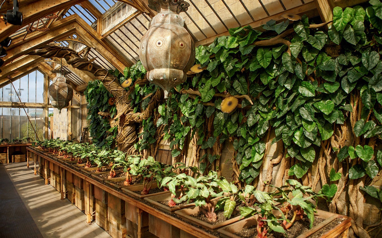Greenhouse with magical plants at The Making of Harry Potter tour.