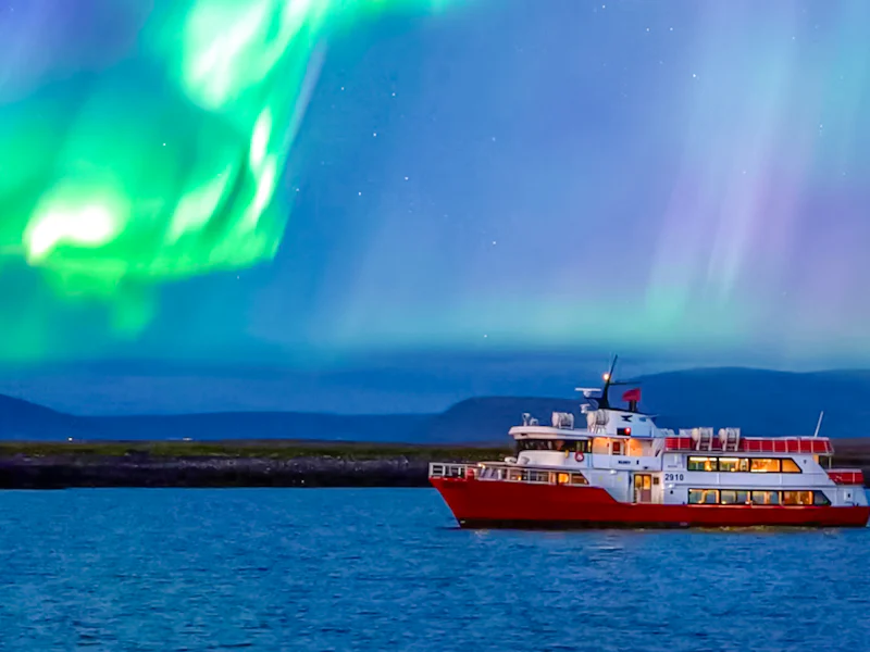 Reykjavik Whale Watching And Northern Lights Cruise Combo - Reykjavík