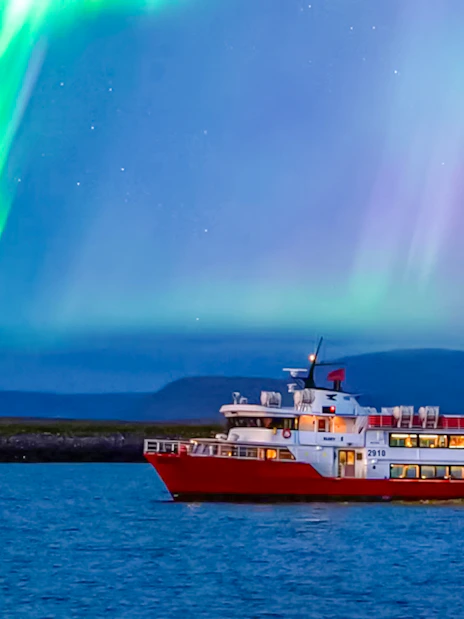 Cruise ship under northern lights in Iceland.