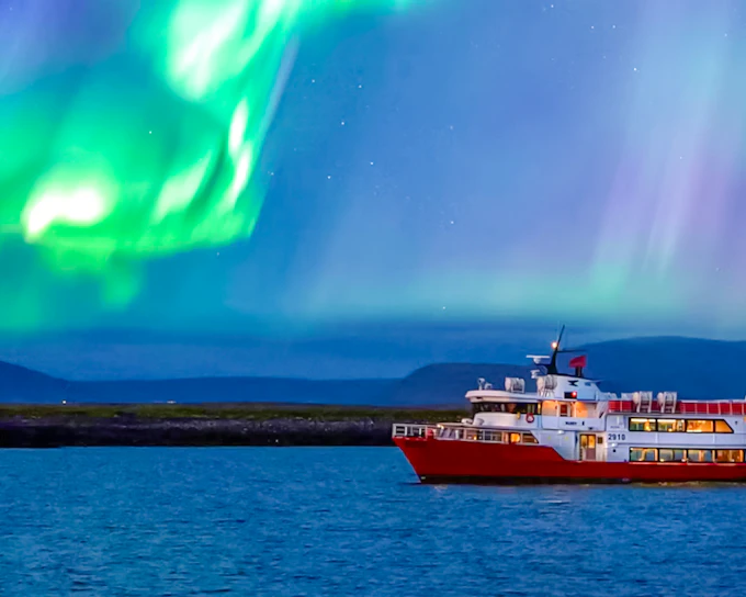 Reykjavik: Whale Watching & Northern Lights Cruise Combo