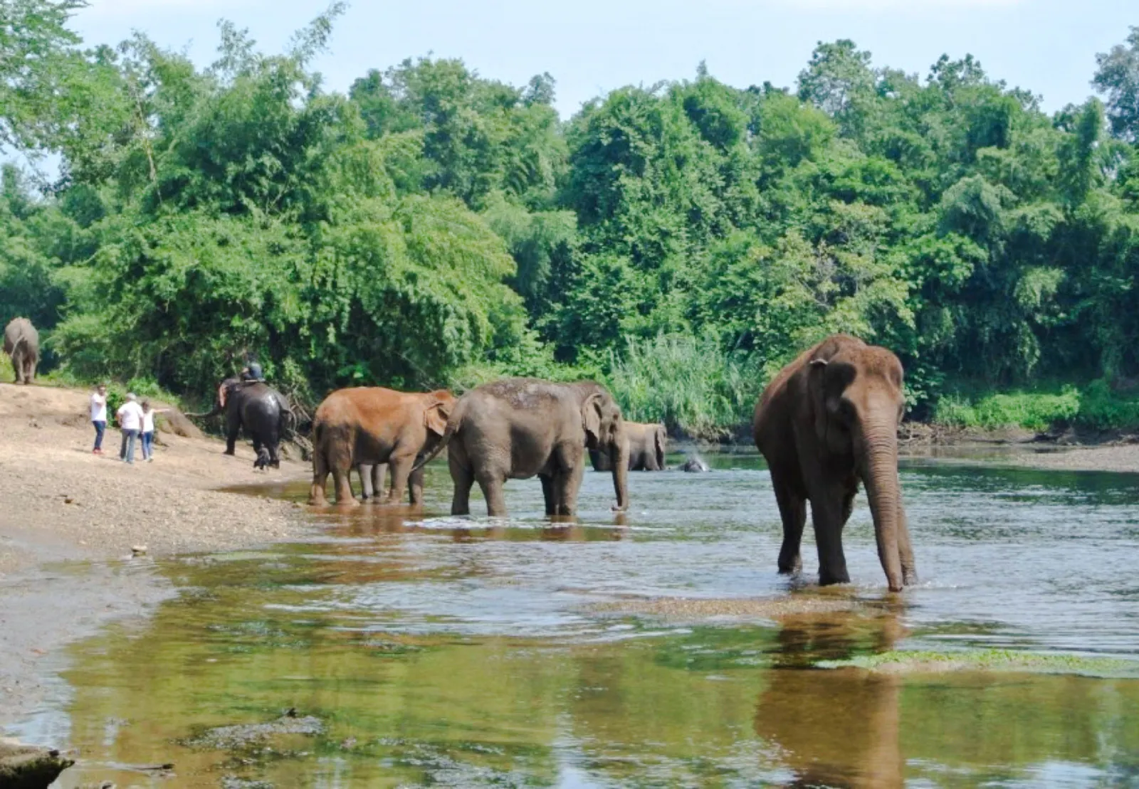 elephants world – opplevelse med elefantomsorg i kanchanaburi med langhalet båt på elven kwai-1