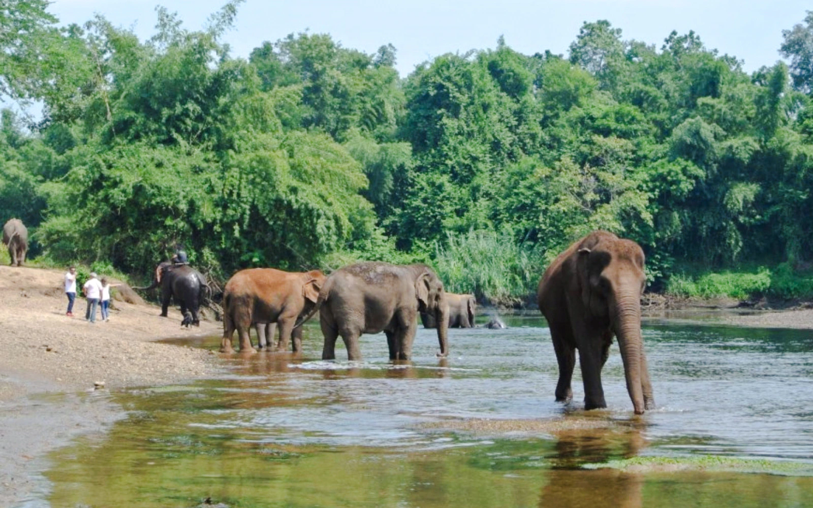 Elephants World Elephant Care Experience in Kanchanaburi with River Kwai Longtail Boat