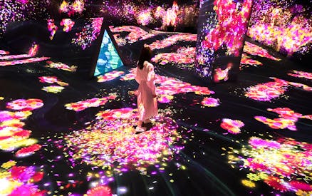 Biglietti per il Fukuoka Forest Teamlab | Headout
