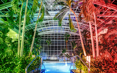 Indoor pool at the palm zone, Therme Bucharest, illuminated at night.