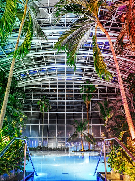 Indoor pool at the palm zone, Therme Bucharest, illuminated at night.