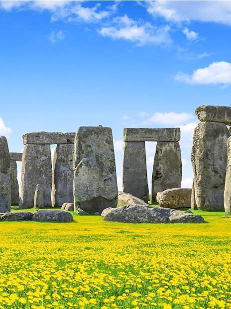 Stonehenge with blue sky and yellow flowers during daytime.