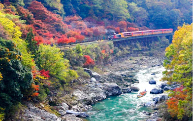 Train passing through colorful autumn forest along Hozugawa River, Kyoto, with a boat on the water.