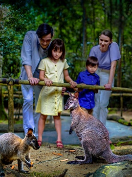 Family observing wallabies at Singapore Night Safari.