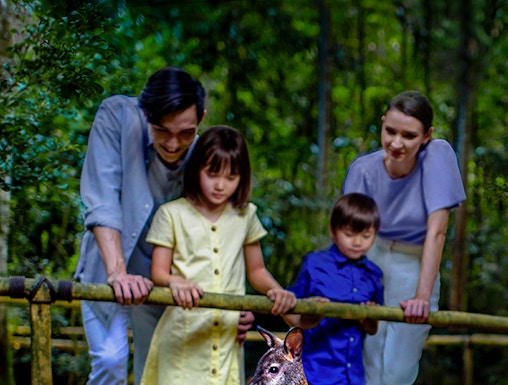 Family observing wallabies at Singapore Night Safari.