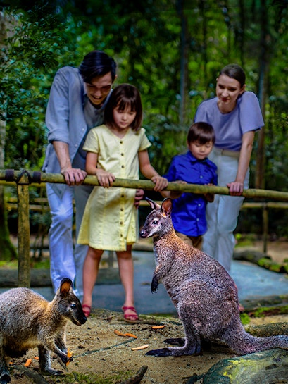 Family observing wallabies at Singapore Night Safari.