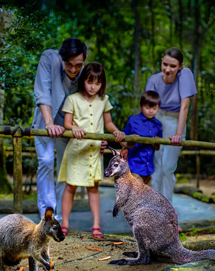 Family observing wallabies at Singapore Night Safari.