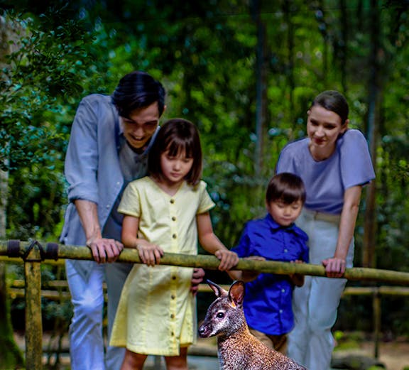 Family observing wallabies at Singapore Night Safari.