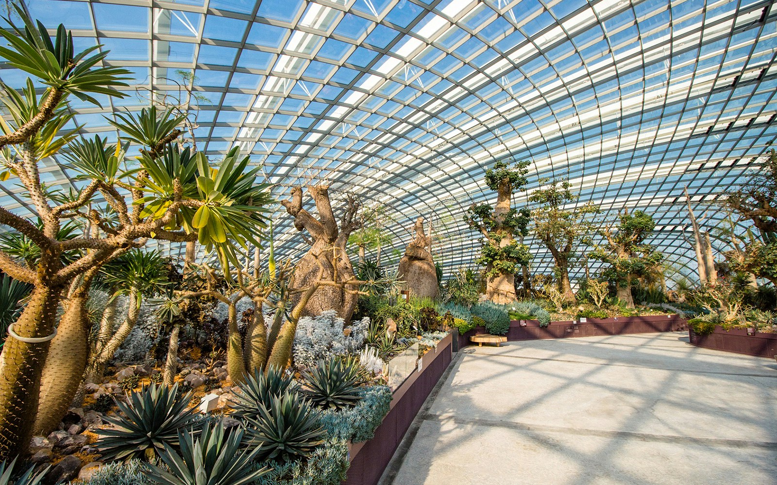Flower Dome at Gardens by the Bay