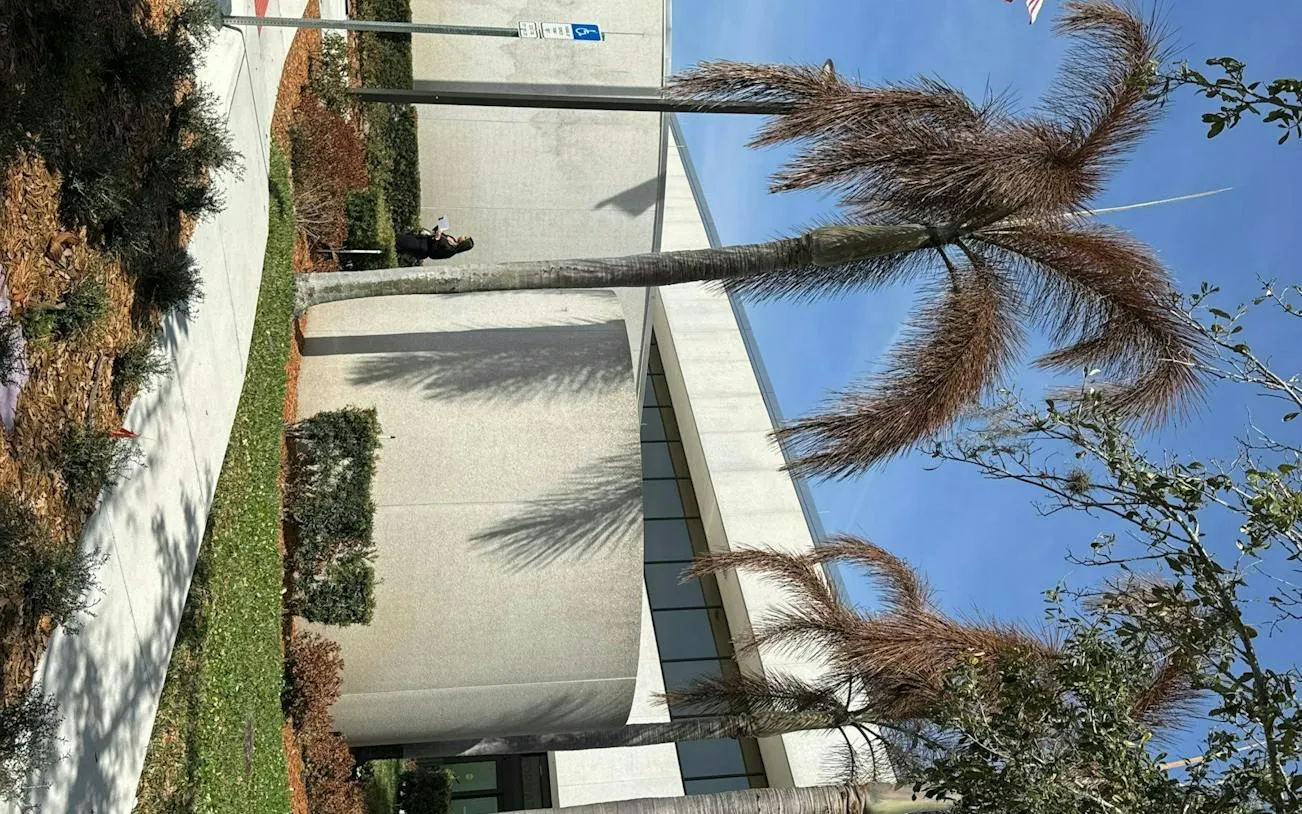 Sanford city exploration game participant near modern building with palm trees.