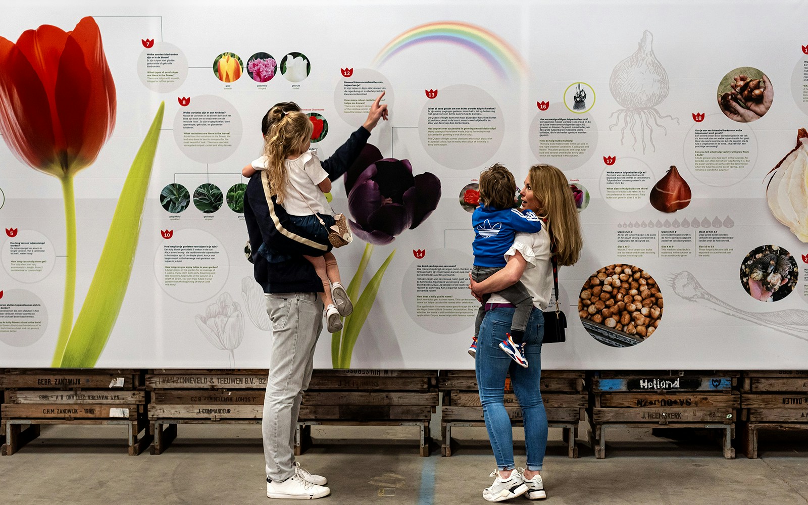 A family learning about history of tulips in interactive museum
