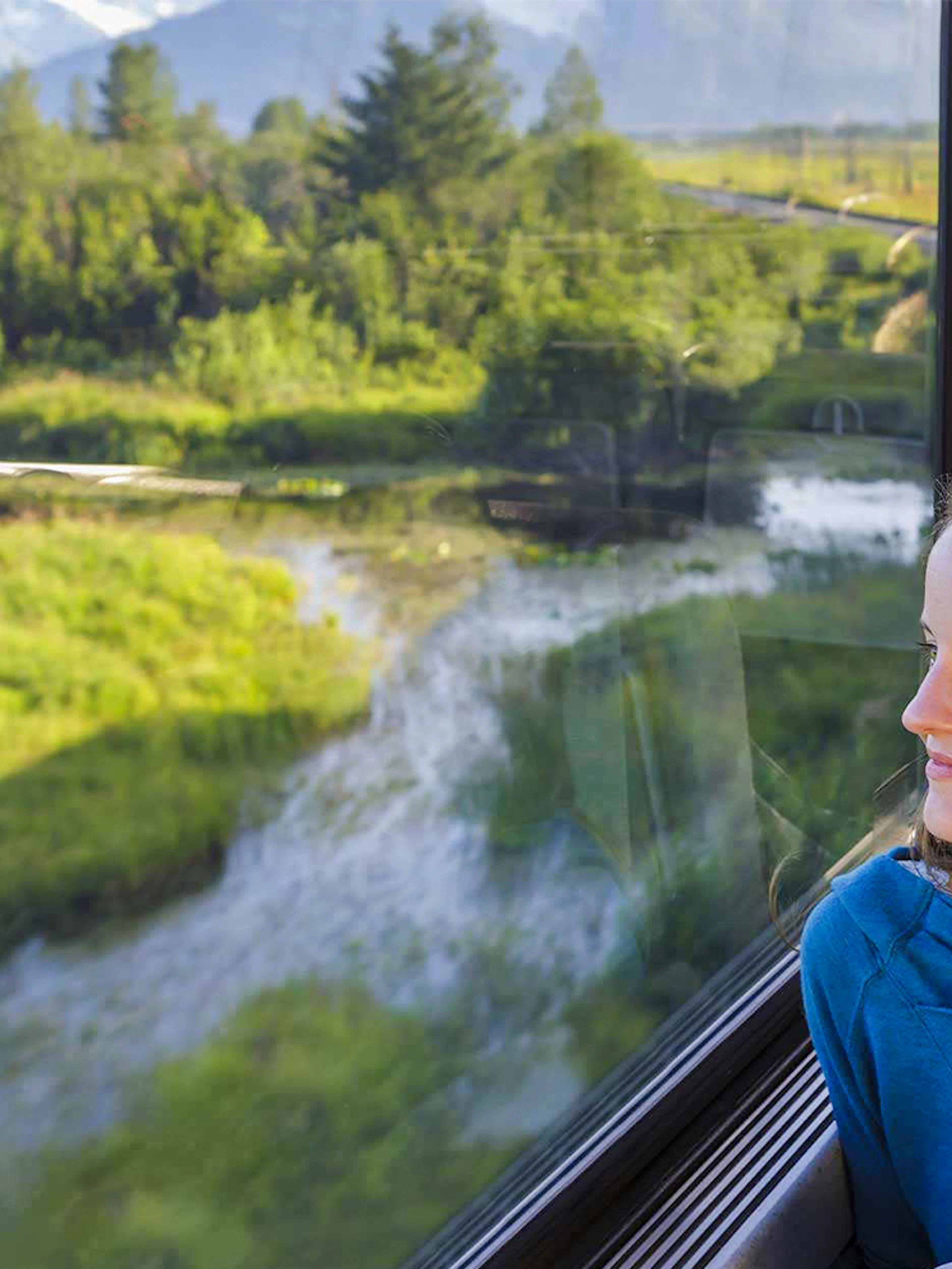 Passenger enjoying scenic view from Alaska Railroad train window.