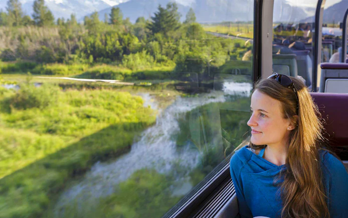 Passenger enjoying scenic view from Alaska Railroad train window.