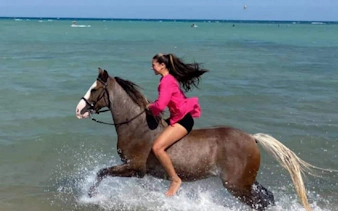 Horse riding along the shore in Nabq Bay with a guide.