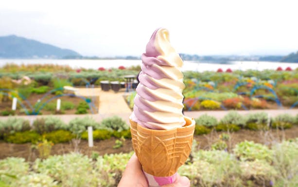 Soft serve ice cream with Mt. Fuji and Lake Kawaguchiko garden view in background.