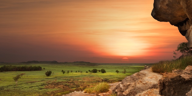 のベストを見つけよう Darwin