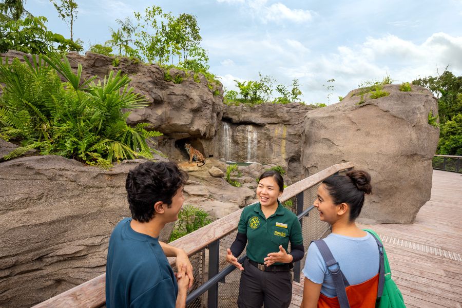 AIA Vitality Bounce RWA