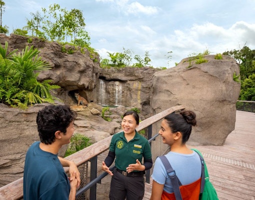 AIA Vitality Bounce RWA