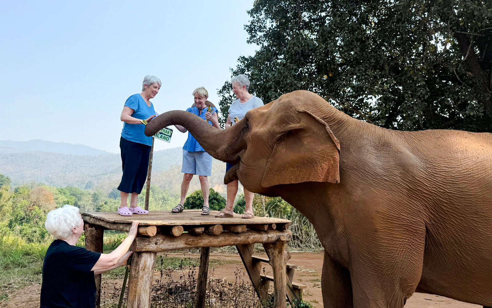 Visitors feeding an elephant at Chiang Mai Elephant Sanctuary, Thailand.