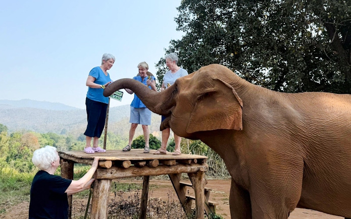 Visitors feeding an elephant at Chiang Mai Elephant Sanctuary, Thailand.