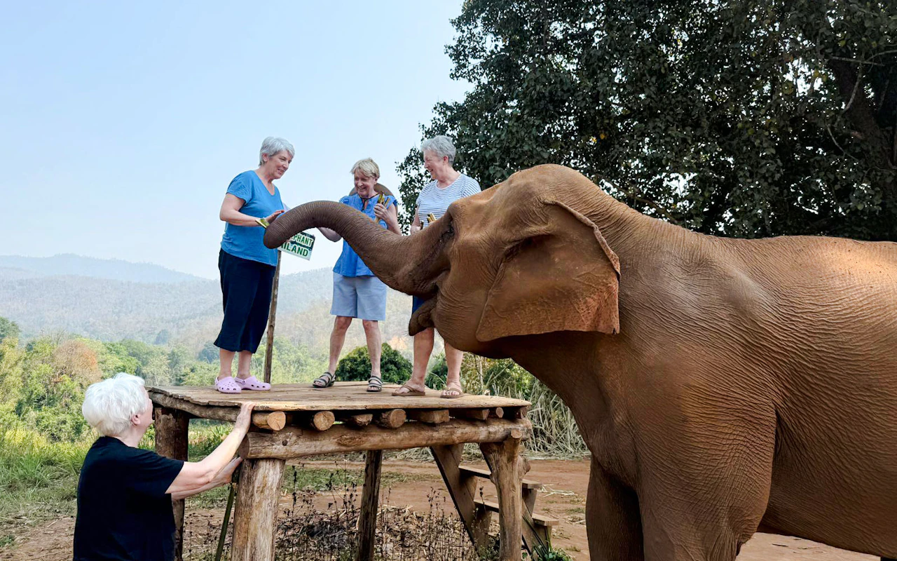 Chiang Mai: santuario degli elefanti, passeggiata fino alla cascata e attività di bamboo rafting — 6