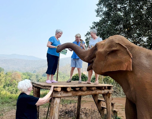Visitors feeding an elephant at Chiang Mai Elephant Sanctuary, Thailand.