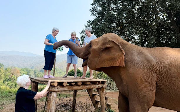 Visitors feeding an elephant at Chiang Mai Elephant Sanctuary, Thailand.