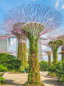 Supertree Grove at Gardens by the Bay, Singapore, with lush vertical gardens.