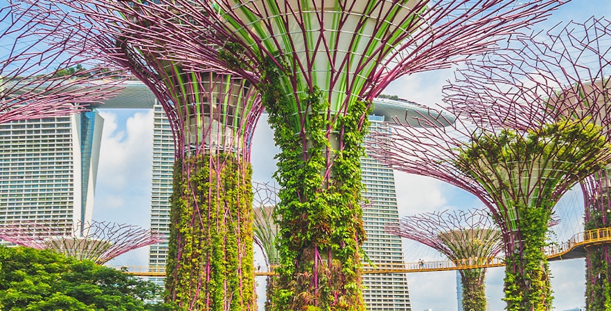 Biglietti per l'Osservatorio Supertree