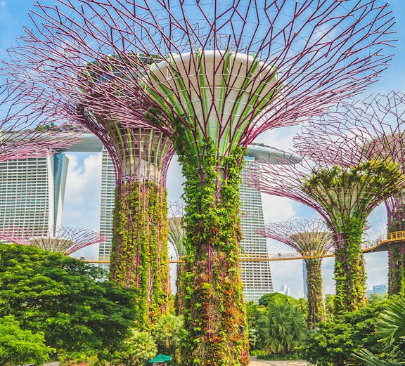 Supertree Grove at Gardens by the Bay, Singapore, with lush vertical gardens.
