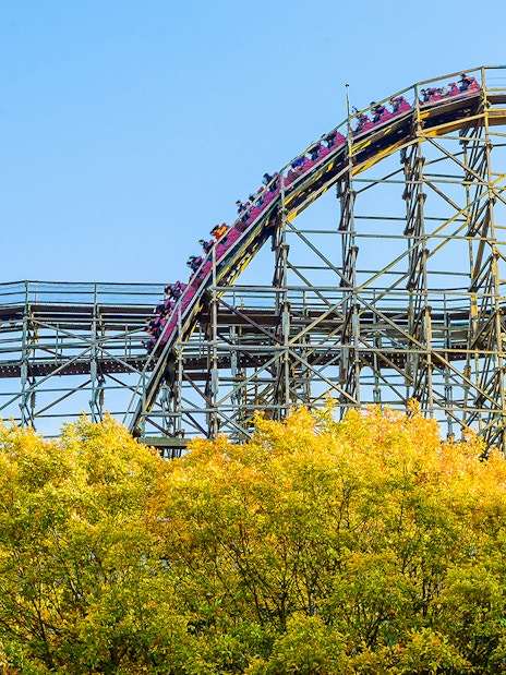 Roller coaster at Everland theme park with vibrant autumn trees.