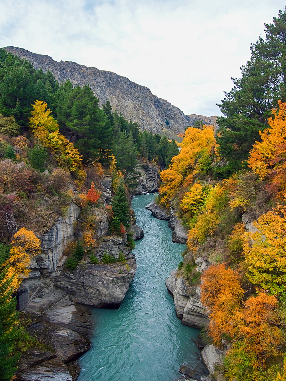Arrowtown and Wanaka Platinum tour
