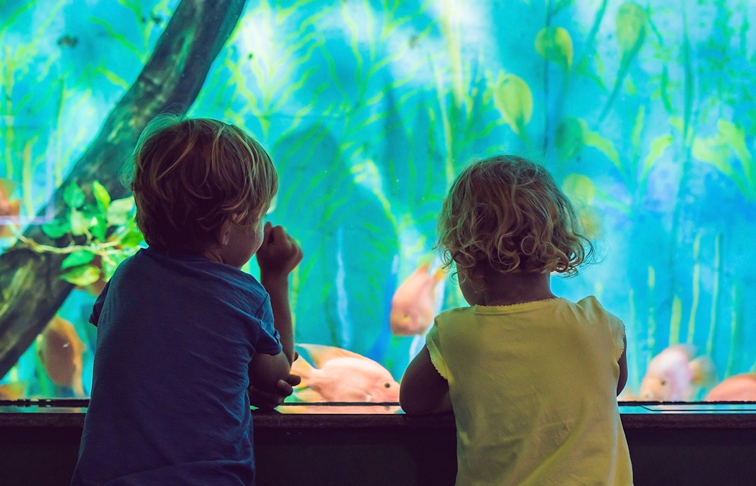 Madrid Aquarium with sea animals sight.