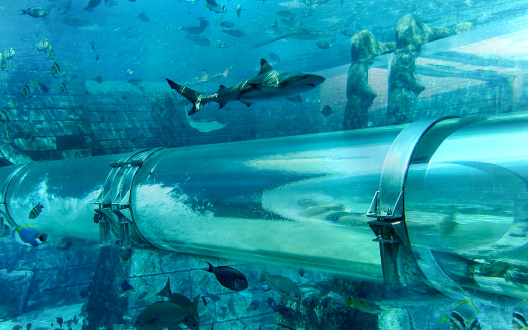 Underwater tube slide with sharks at Atlantis, The Palm, Dubai.