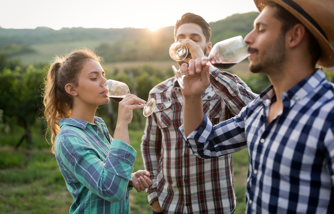 Passeios de Vinhos Guiados em Chianti