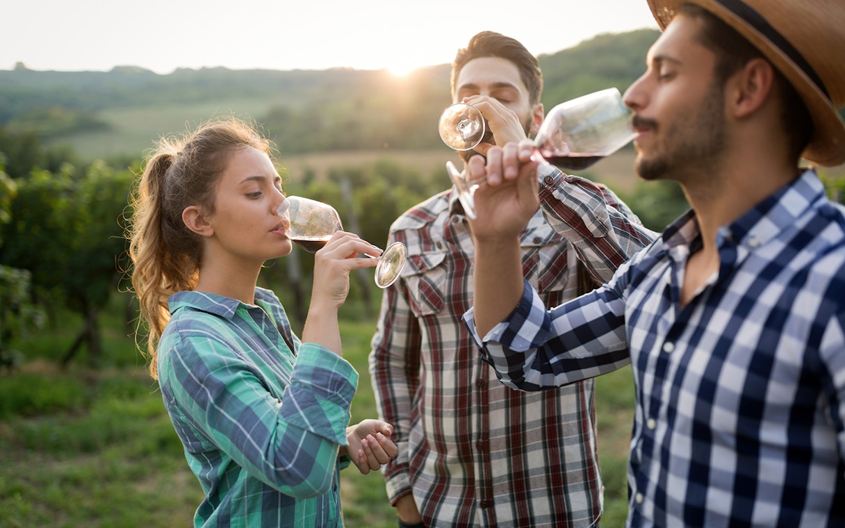 People enjoying wine tasting in a vineyard in the Chianti region, Florence.