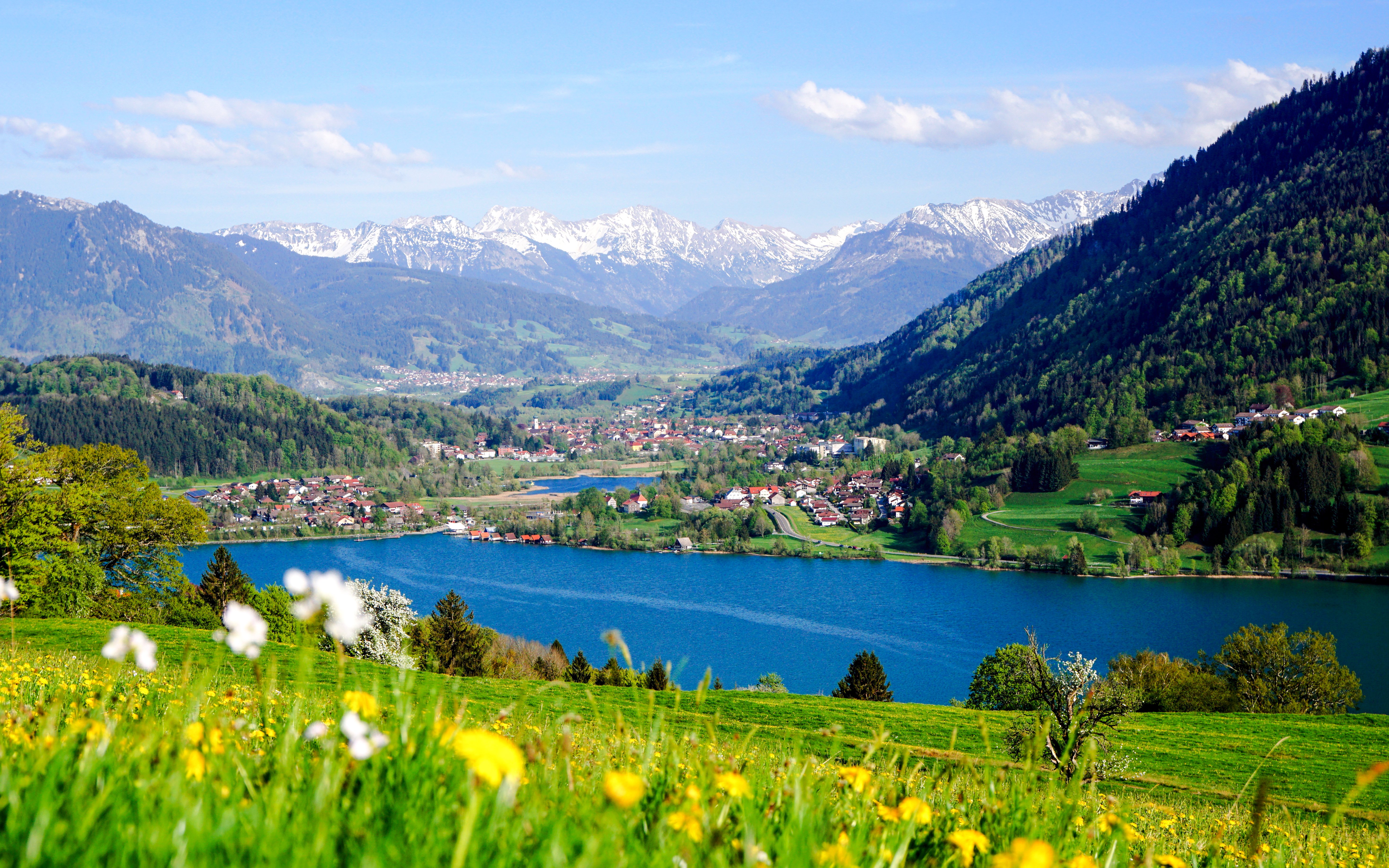 Alpsee Lake with surrounding mountains and village, view from a grassy hill.