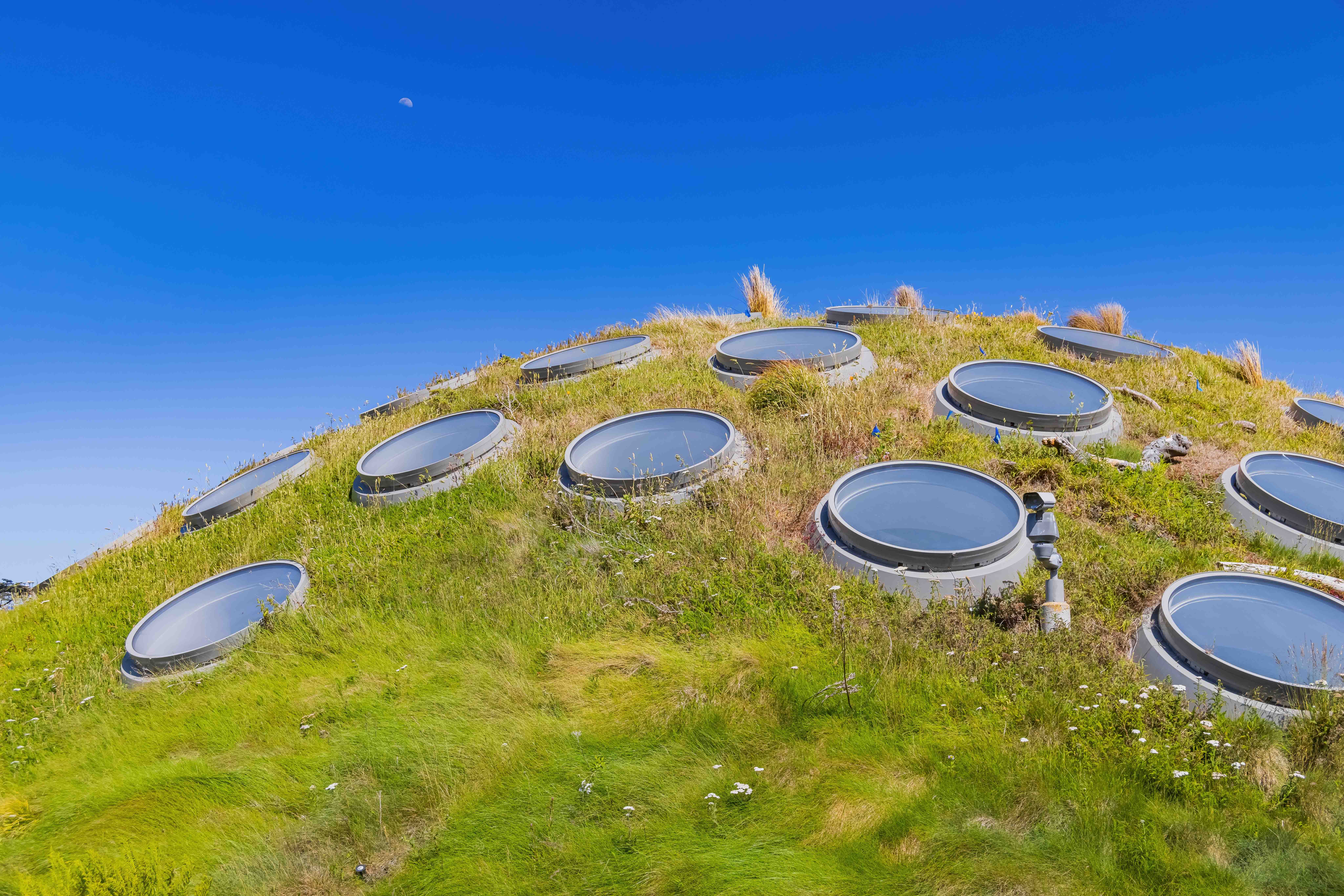 California Academy of Sciences