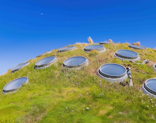 California Academy of Sciences