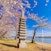 Japanese Pagoda