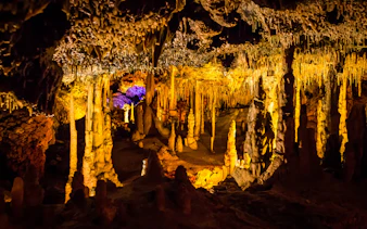 Stalactites and stalagmites in illuminated Hams Caves interior.