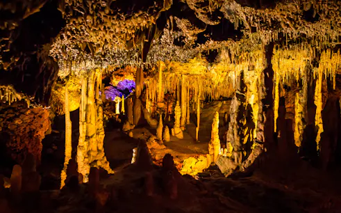 Stalactites and stalagmites in illuminated Hams Caves interior.