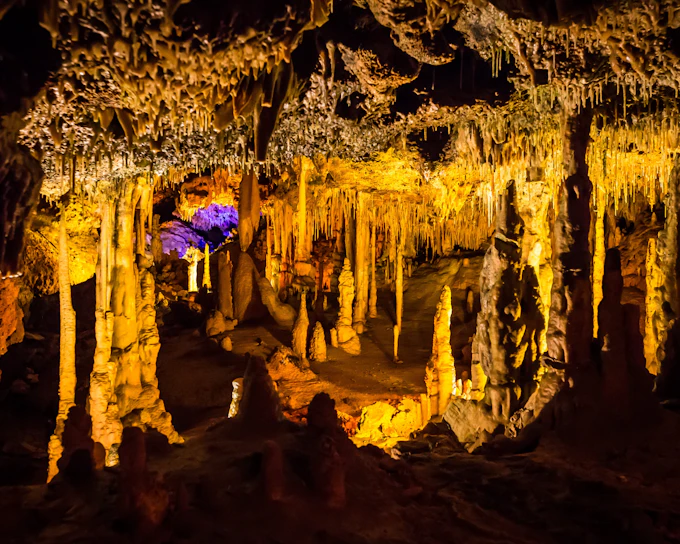 From Palma: Hams' Caves & Porto Cristo Half-Day Trip