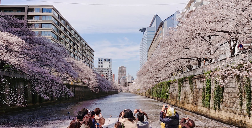 Passengers taking photos of cherry blossoms along Meguro River cruise in Tokyo.