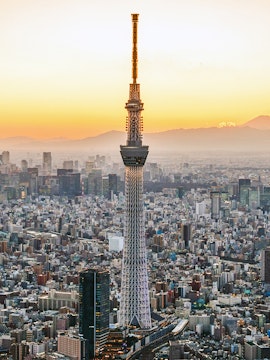 Tokyo Skytree towering over cityscape at sunset.