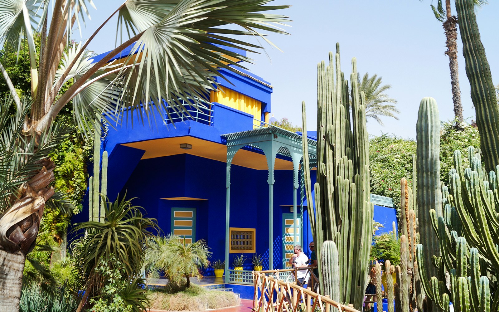 Jardin Majorelle's vibrant blue villa surrounded by tall cacti and palm trees in Marrakech.